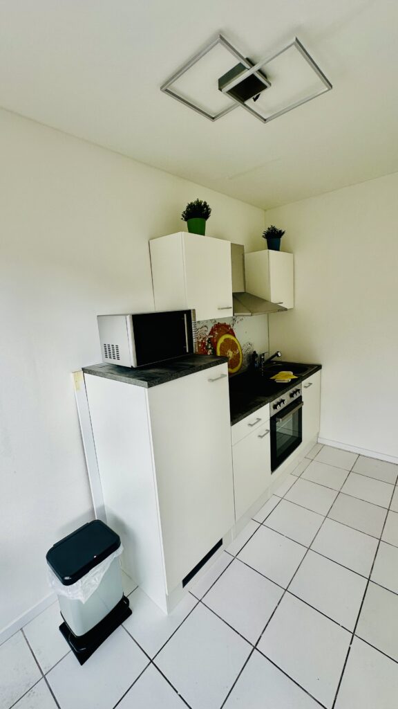 Küche im Oststadt Apartment Karlsruhe Oststadt mit moderner Ausstattung