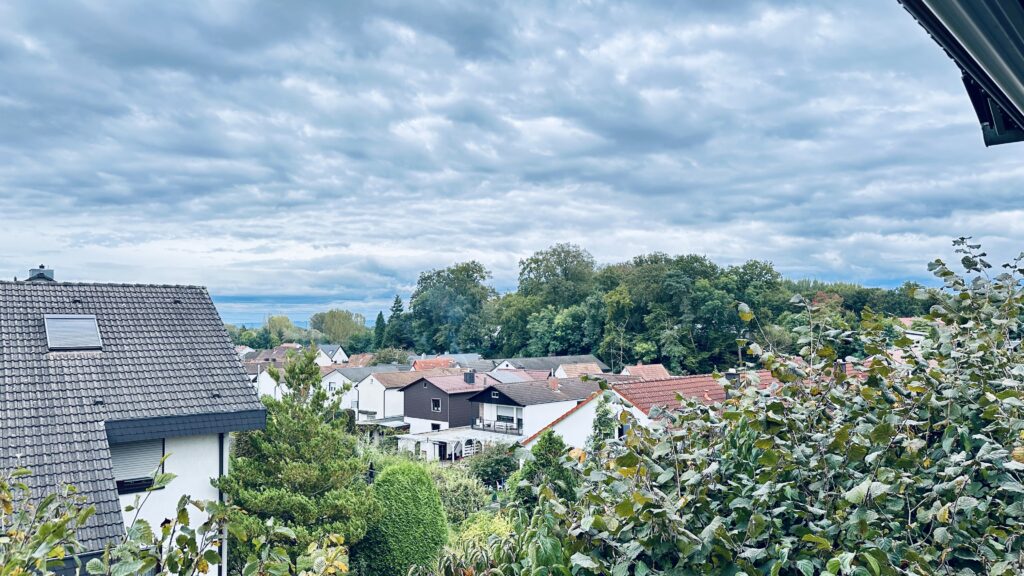 Weitblick zum Schwarzwald von Daheim am Wasserturm Wörth am Rhein