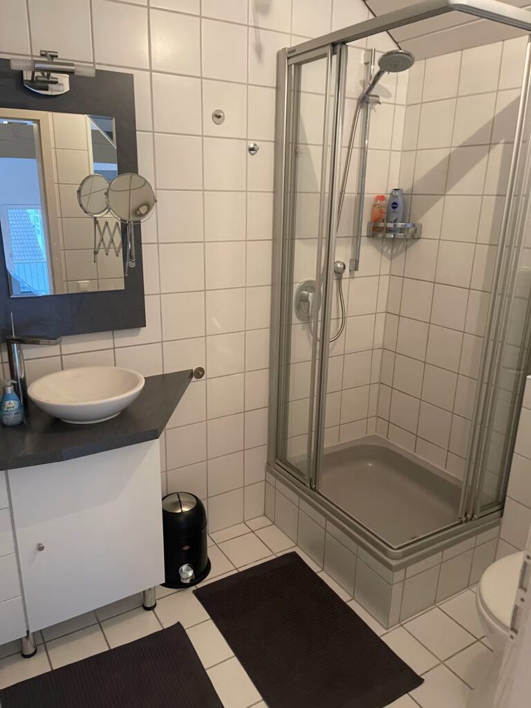 Loft Karlsdorf Badezimmer mit moderner Dusche